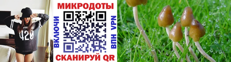 Галлюциногенные грибы Psilocybe  Купить  Калязин 